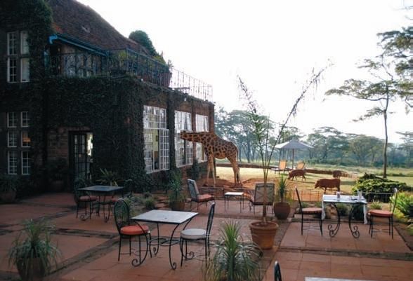 Константин Стогний - Сокровища майя и конец света