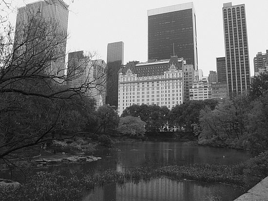 Елена Прокофьева, Марьяна Скуратовская - 100 великих свадеб