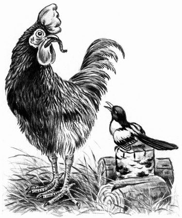 Георгий Скребицкий - Длиннохвостые разбойники (сборник)