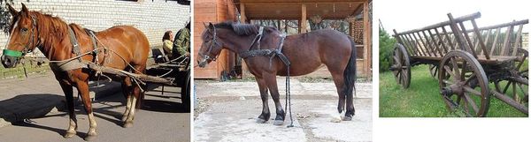 Алексей Штейн - Проходная пешка