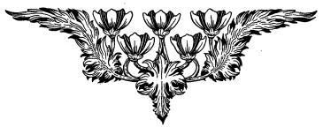 Александра Давид Неэль - Магия Любви и Черная Магия