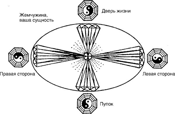 Лариса Мелик - Мысль творит реальность: вам подвластно ВСЁ