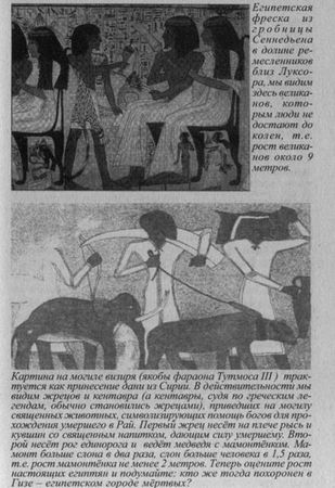 Владимир Шемшук - Возвращение Рая на Землю