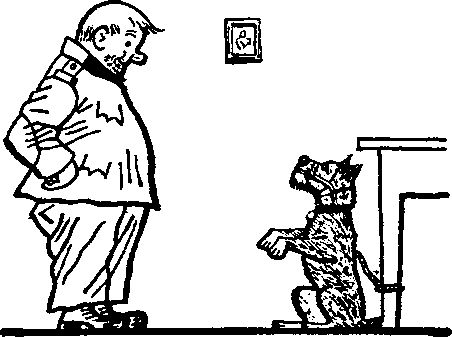 Йозеф Лада - Картинки похождений бравого солдата Швейка