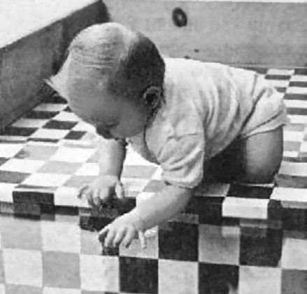 Николай Веракса, Александр Веракса - Познавательное развитие в дошкольном...