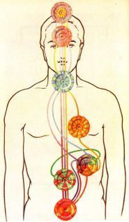 Чарльз Ледбитер - ЧАКРЫ