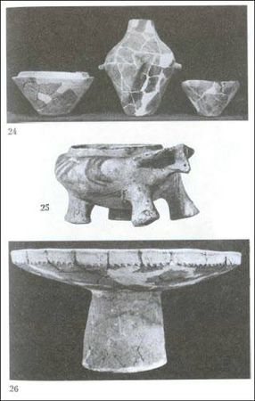 Думитру Берчу - Даки. Древний народ Карпат и Дуная