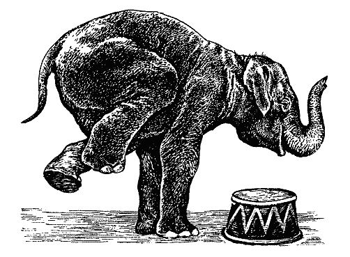 Бернгард Гржимек - Наши братья меньшие