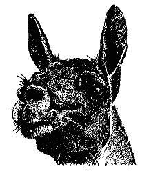 Бернгард Гржимек - Наши братья меньшие