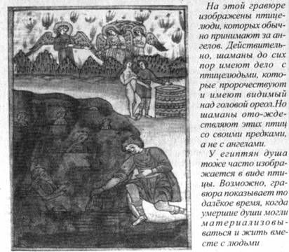 Владимир Шемшук - Возвращение Рая на Землю