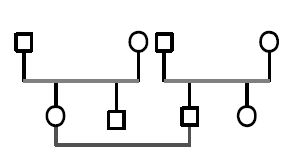 Сборник статей, Анна Варга - Системная психотерапия супружеских пар