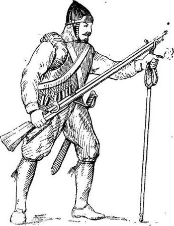 Владимир Федоров - История винтовки