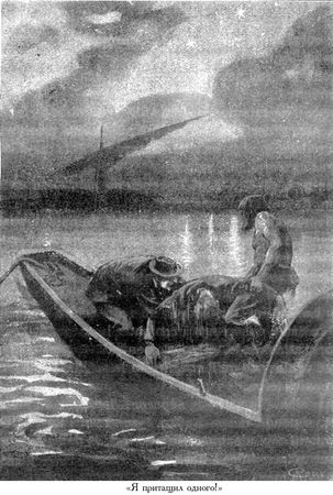 Жюль Верн, Мишель Верн - Дунайский лоцман