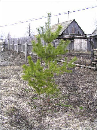 Андрей Кашкаров - Справочник настоящего мужчины