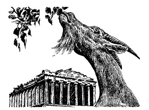 Бернгард Гржимек - Наши братья меньшие