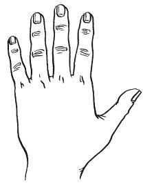 Ирина Зайцева - Хиромантия - любовь, счастье, богатство на вашей руке. Гадание...