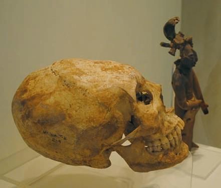 Константин Стогний - Сокровища майя и конец света