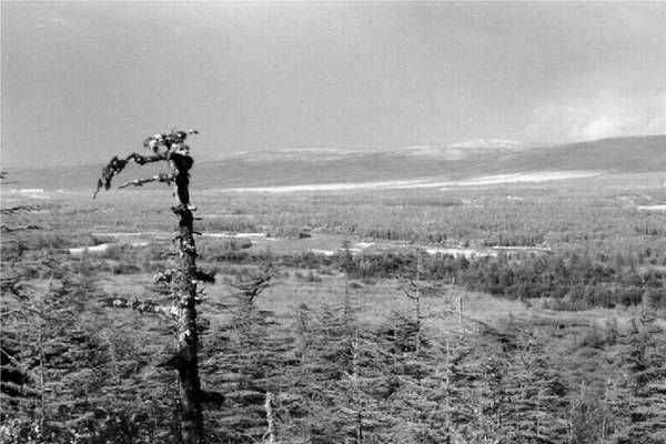 Станислав Брехов - Смертельная печаль. Саби-си