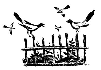 Василий Белов - Бухтины вологодские завиральные