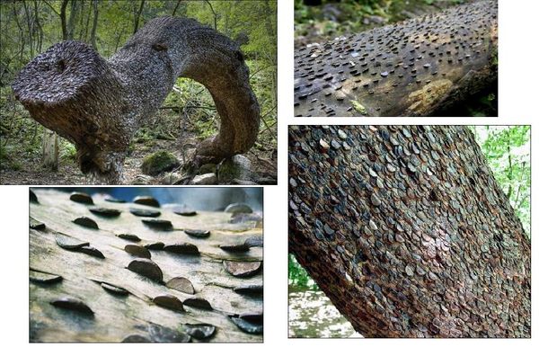 Алексей Штейн - Проходная пешка