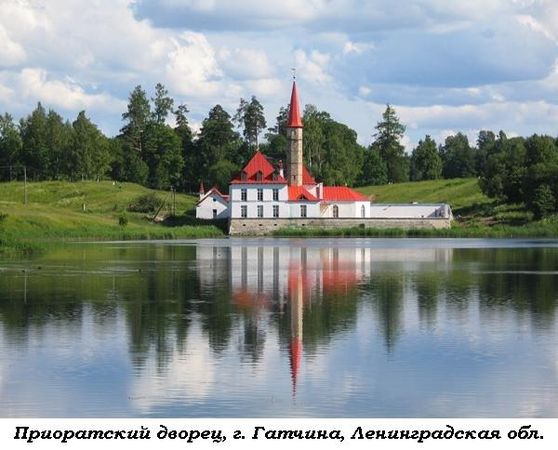 Алексей Штейн - Проходная пешка