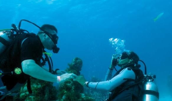 Константин Стогний - Сокровища майя и конец света