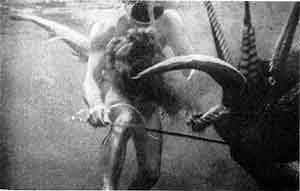 Игорь Акимушкин - Приматы моря