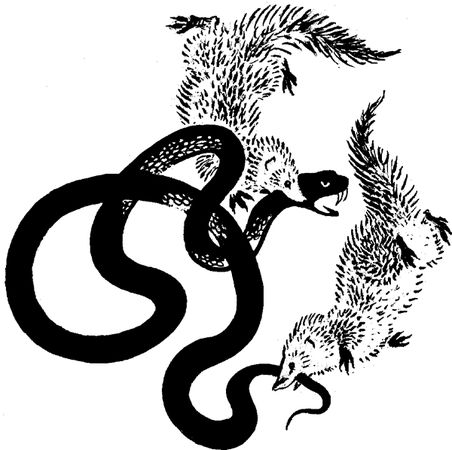 Борис Житков - Что бывало (сборник)