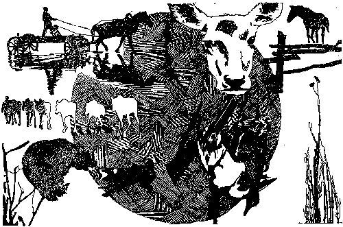 Василий Песков - Дороги и тропы