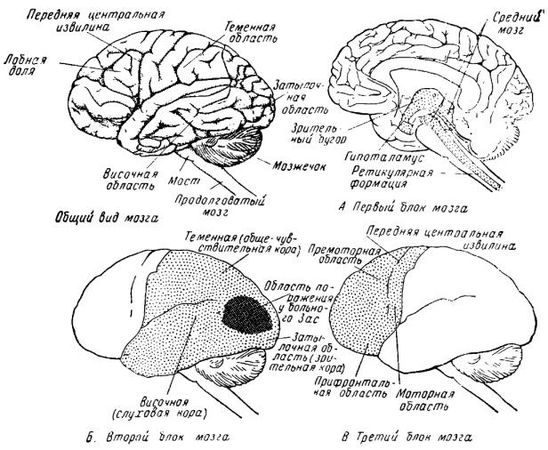 Александр Лурия - Потерянный и возвращённый мир