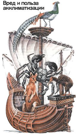 Игорь Акимушкин - Невидимые нити природы