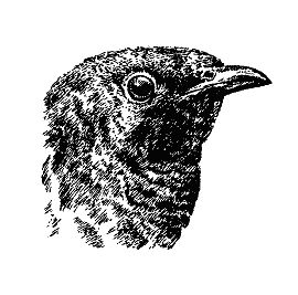 Бернгард Гржимек - Наши братья меньшие