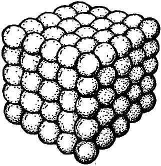 Роджер Пенроуз - Тени разума. В поисках науки о сознании