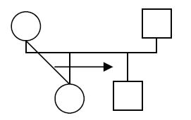 Сборник статей, Анна Варга - Системная психотерапия супружеских пар