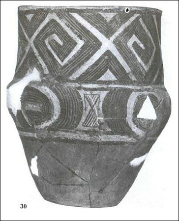 Думитру Берчу - Даки. Древний народ Карпат и Дуная