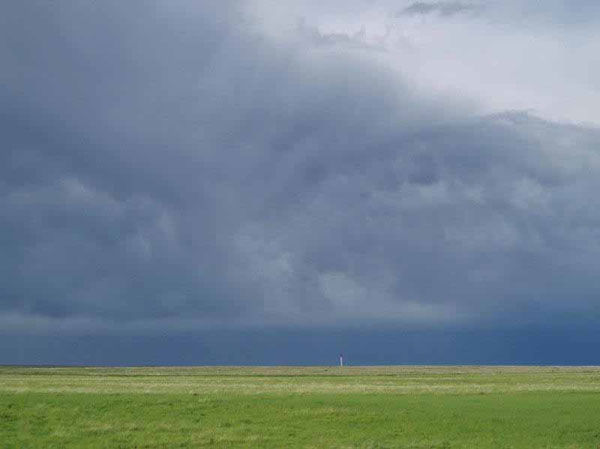 Валентина Сирота - Мы на земле всего лишь гости... (сборник)