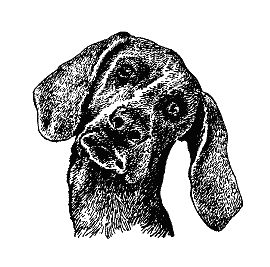 Бернгард Гржимек - Наши братья меньшие