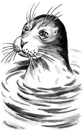 Георгий Скребицкий - Длиннохвостые разбойники (сборник)