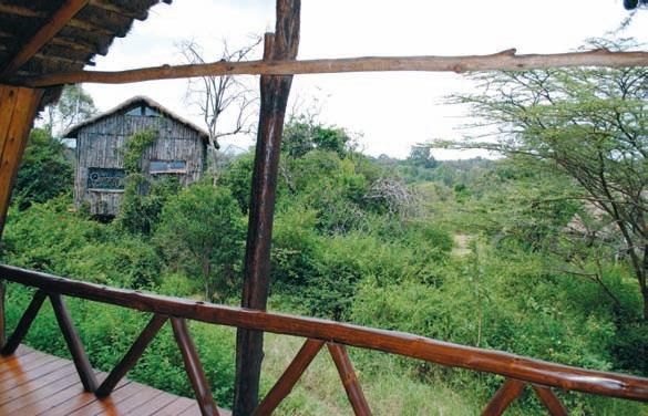 Константин Стогний - Сокровища майя и конец света