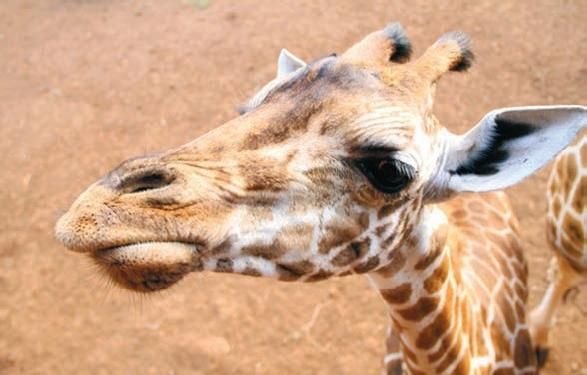 Константин Стогний - Сокровища майя и конец света