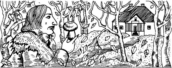 Владимир Новиков - Русская литературная усадьба