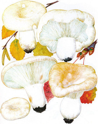 Дмитрий Соколов - Необычные изобретения. От Вселенной до атома