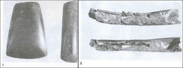 Думитру Берчу - Даки. Древний народ Карпат и Дуная