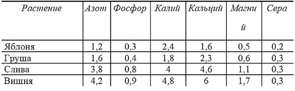 Галина Кизима - Годовой цикл работ в саду и огороде