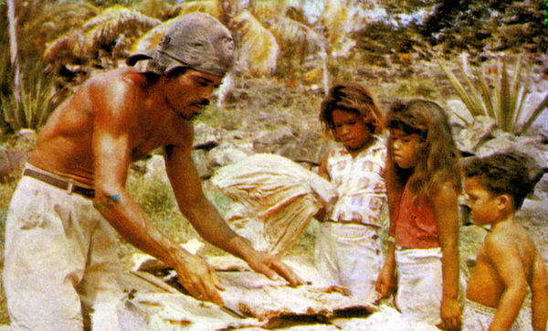 Хайнц Зильман - В стране драконов и сказочных птиц