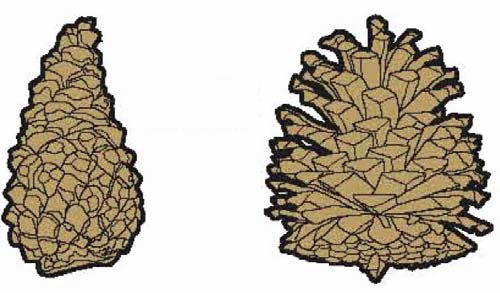 Андрей Кашкаров - Справочник настоящего мужчины