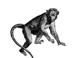 Саша Чёрный - Смех сквозь слезы