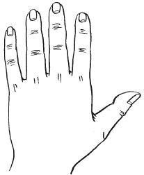 Ирина Зайцева - Хиромантия - любовь, счастье, богатство на вашей руке. Гадание...