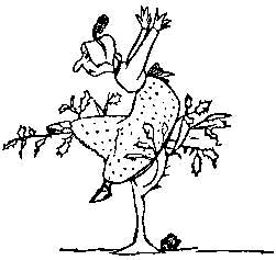 Евгений Нейштадт - Роман в сонетах (сборник)