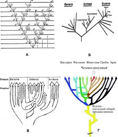 Марк Мосевицкий - Распространенность жизни и уникальность разума?